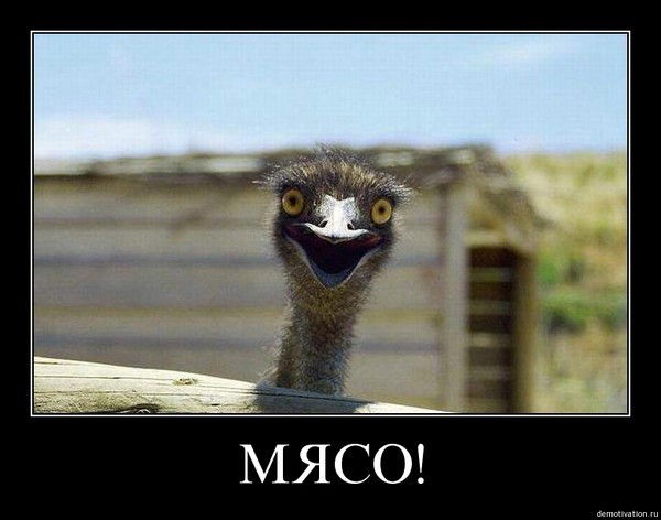 Максим Богатырев