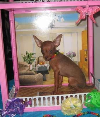 Настя Кузнецова