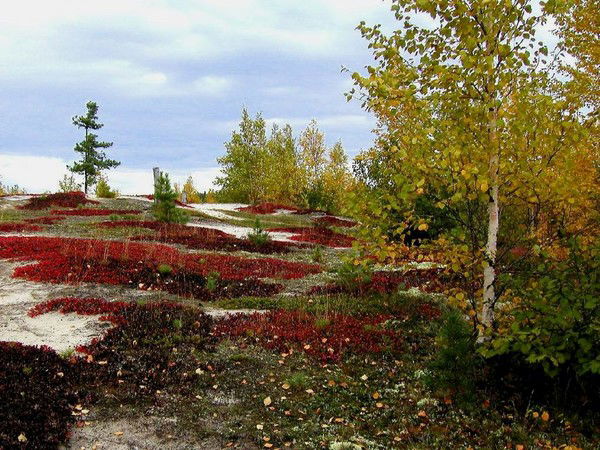 Бутов Андрей