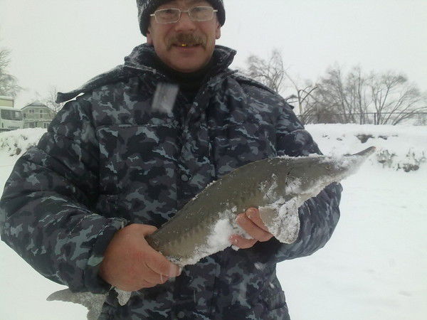 Алексей Гордеев