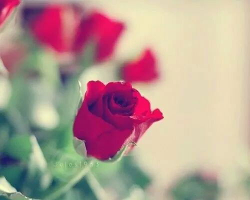 Жулдыз Турсынбаева