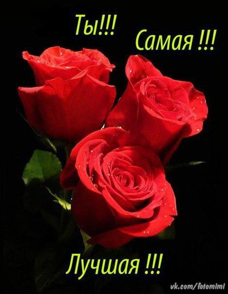 Анна Козлова