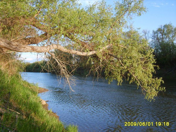 Тая Барыкина