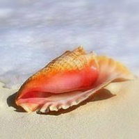 Роза Валиулина