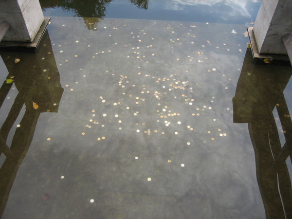 Хантер Павел