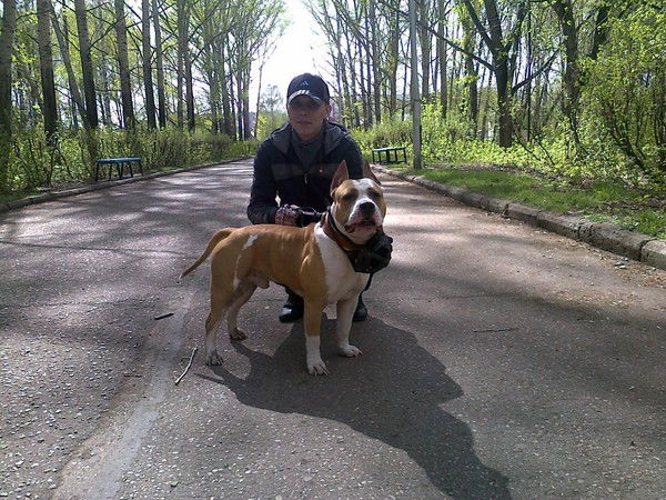 Евгений Анисимов