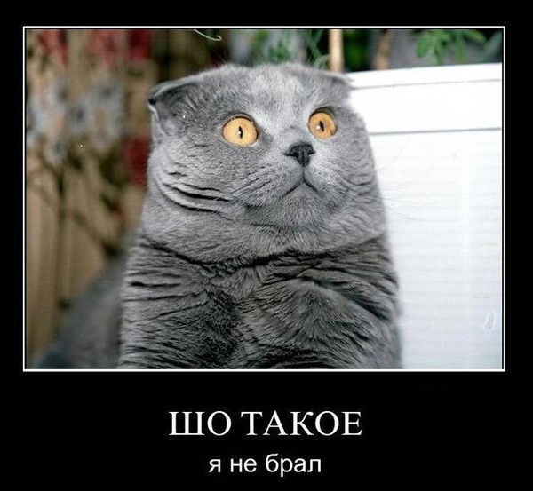 Алексей Макаров