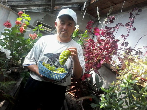 Мурат Кекчебаев