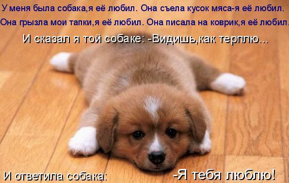 Лютик Лютик