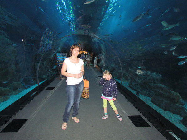 Наталья Красильникова