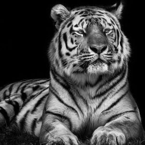 Татьяна Таьяна