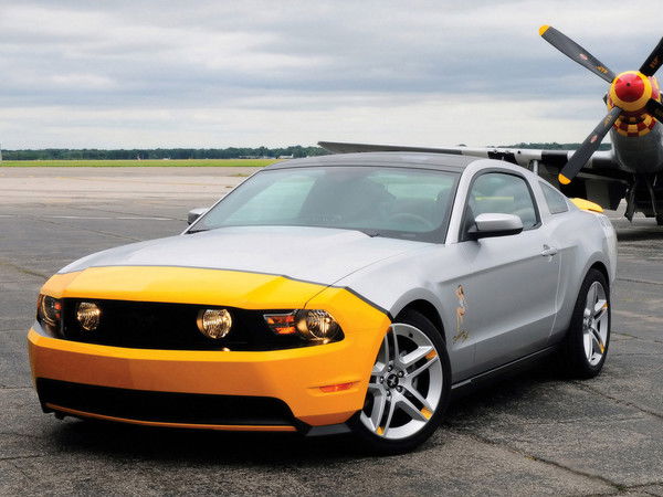 Владислав Бушмелев