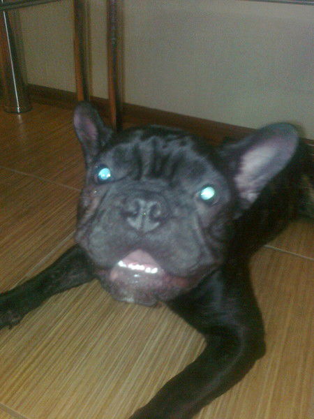 Сергей Калинин