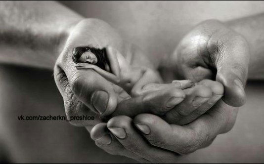 Елена Зубкова