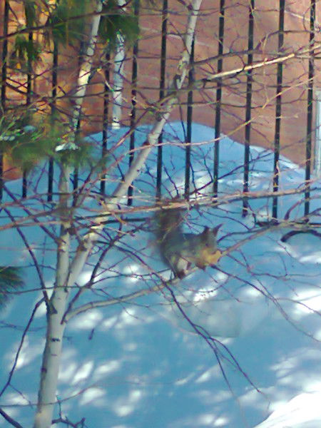 Владимир Барбашев