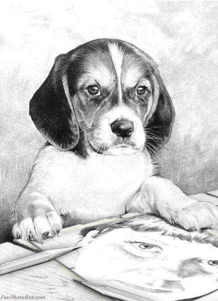 Олеся Хоружина