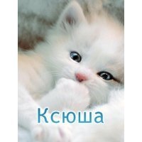 Ксения Галочкина