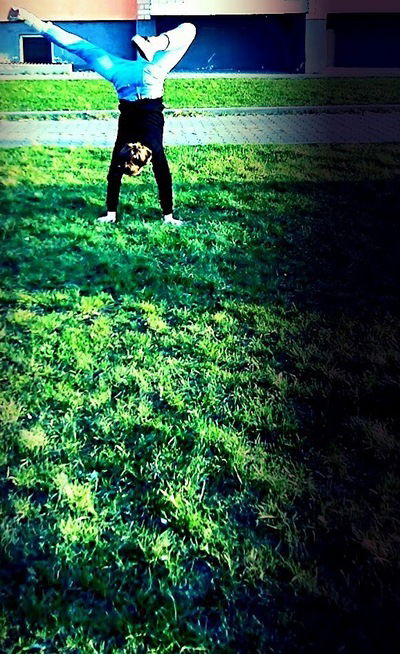 Александра Скорина