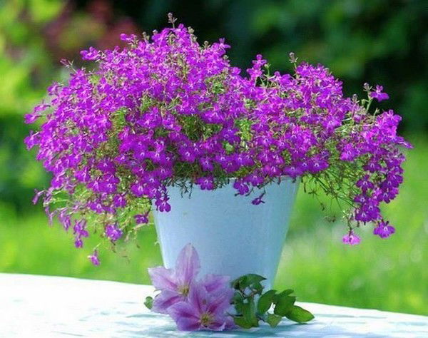 Татьяна Черникова