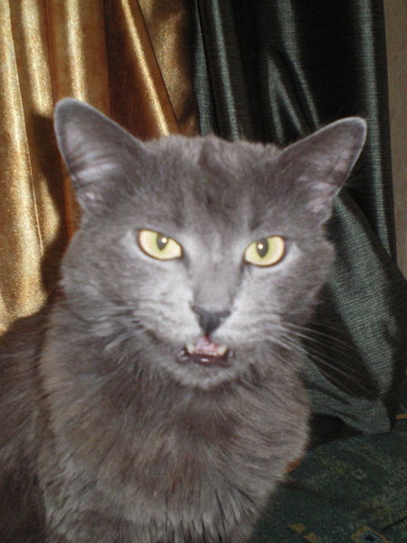 Алексей Хорощанский