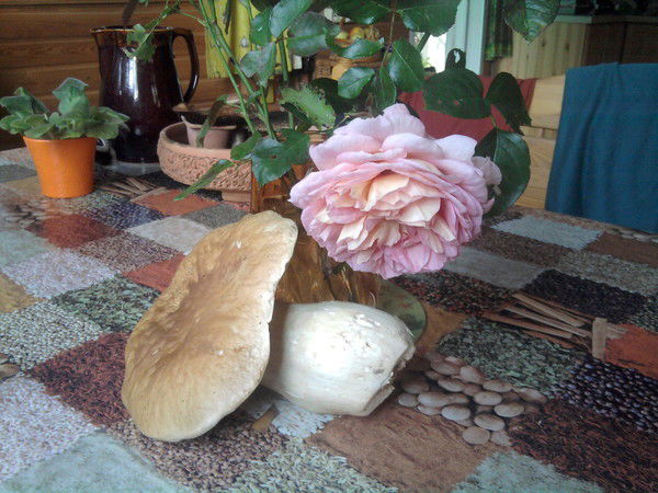 Сергей Ермаков