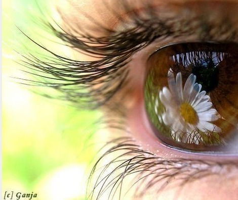 Валентина Лушина