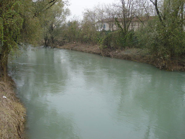 Елена Юровская