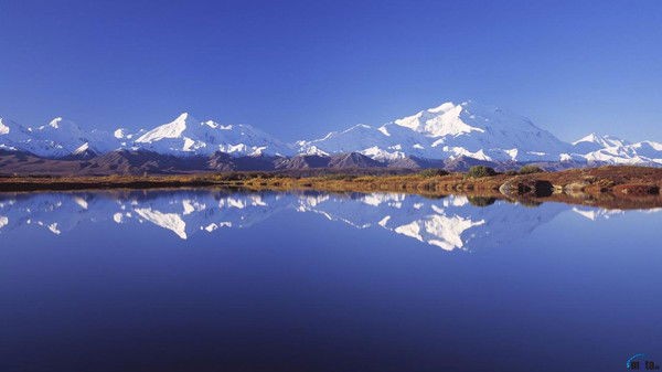 Анна Трефелова