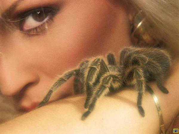 Василиса Миракулян