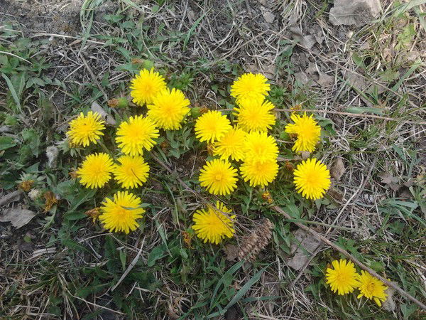 Людмила Васильевна