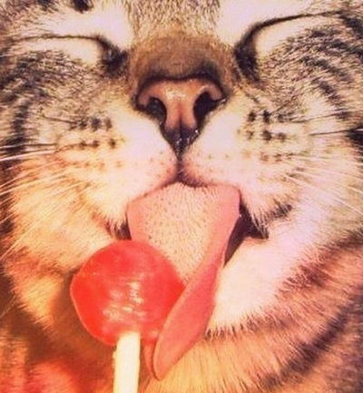 Викуля Котова