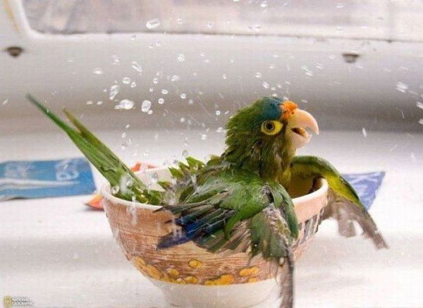 Екатерина Моздакова