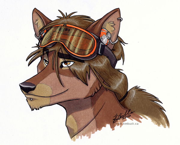 Владислав Сафронов