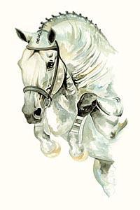 Арпад Ковач