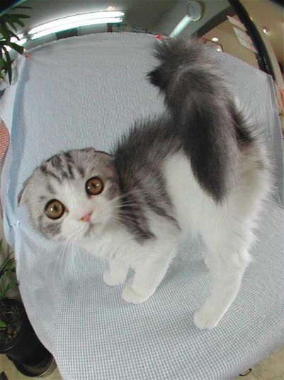 Неизвестно Неизвестно