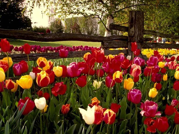 Дарига Муканова