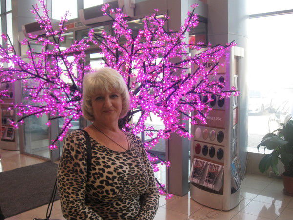 Светлана Козлова