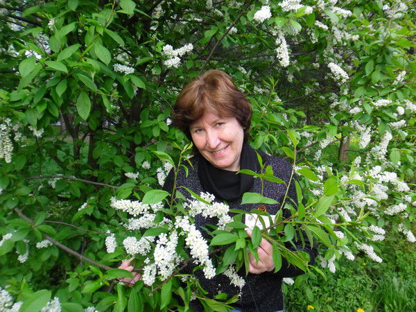 Елена Винокурова