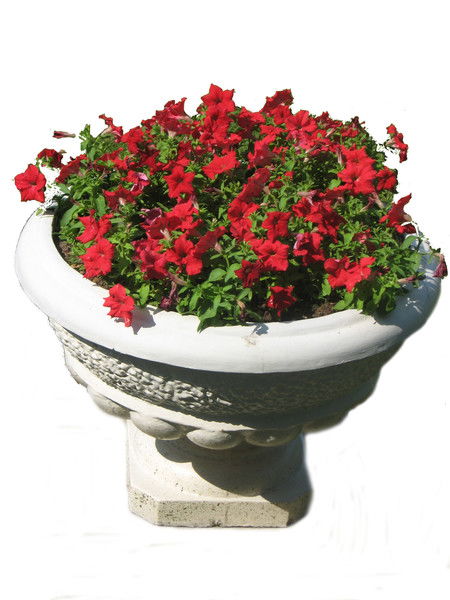 Оао Южно-Приморский Парк