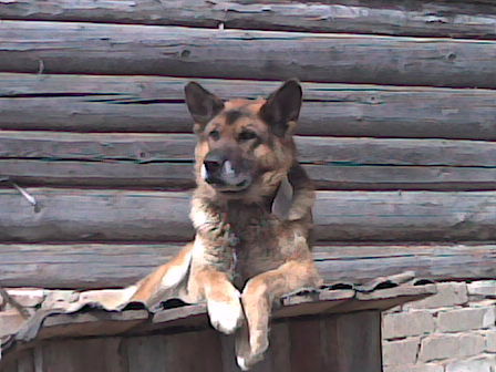 Ольга Гаврикова