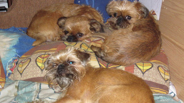 Ксения Большакова