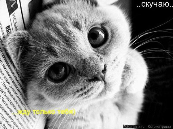 Надежда Копытова