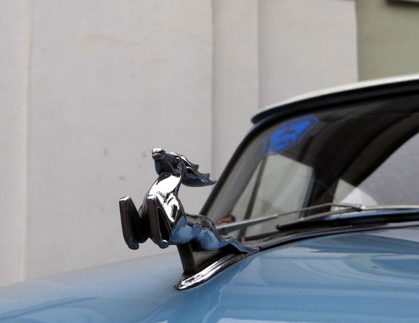 Дарья Абакумова