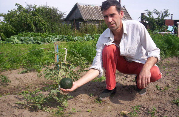 Владимир Никифоров