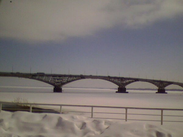 Елена Жабина