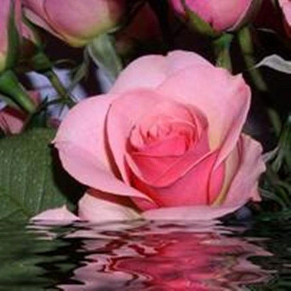 Ирина Маругина