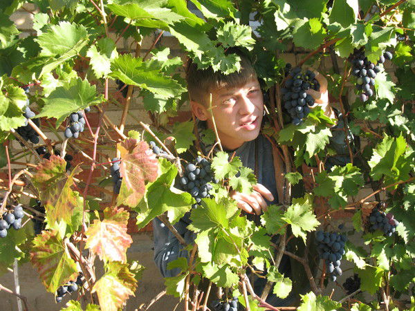 Николай Иванец