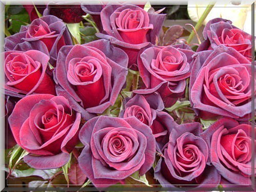 Казалы Пмпк