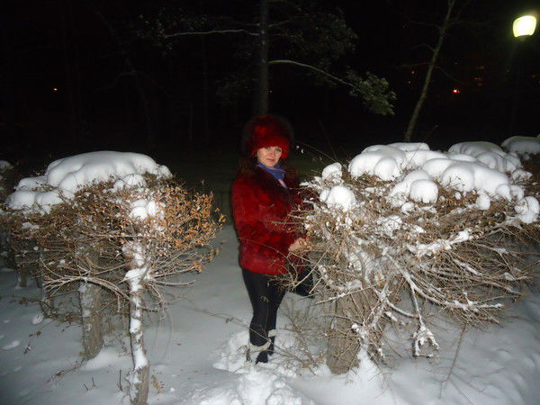 Татьяна Чекишева-Решетникова