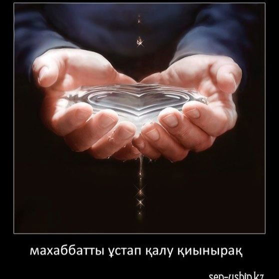 **************** *************